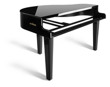 Load image into Gallery viewer, Dutchgrand Piano Shell