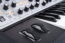 Load image into Gallery viewer, Moog Sub Phatty