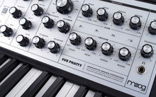 Load image into Gallery viewer, Moog Sub Phatty