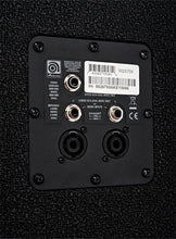 Load image into Gallery viewer, Ampeg 810E