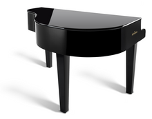 Load image into Gallery viewer, Dutchgrand Piano Shell