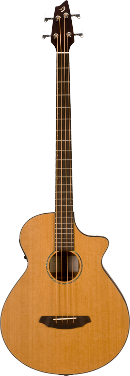 Breedlove on sale acoustic bass