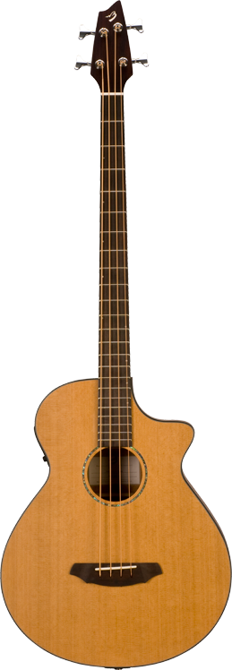 Breedlove BJ350 Acoustic Bass